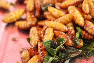 Fried silk worms delicious in street food