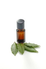 Bay leaves aromatherapeutic oil