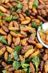 Fried silk worms delicious in street food