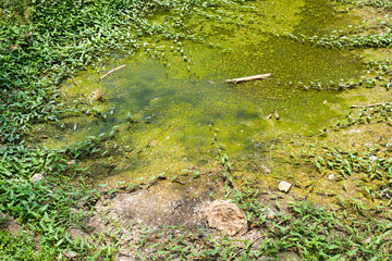 Sewage water