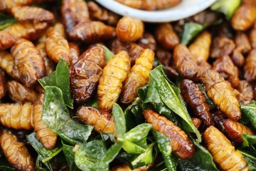 Fried silk worms delicious in street food