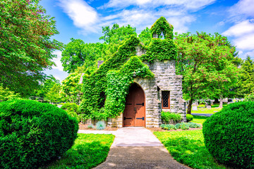 Church covered by green leafs in the graveyard over blue sky