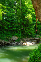 Bungee jump rope on the river forest