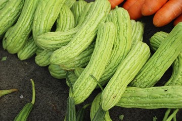 Bitter melon gourd for cooking in market