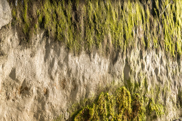 Worn stone building wall partly covered with green moss