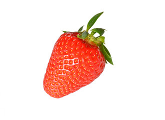 Erdbeeren