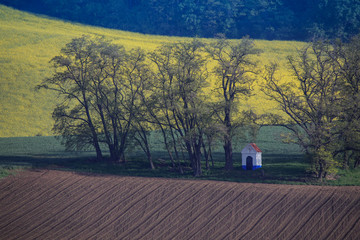 Morawy © marcinbawiec