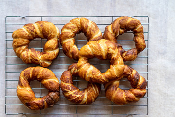 Freshly baked bagels set to cool on a steel cooking rack. Top view.
