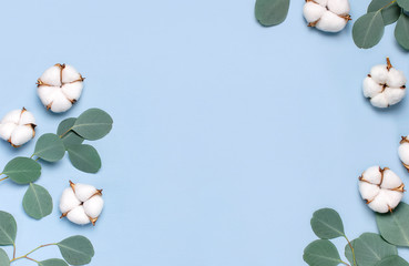 Frame made of cotton flowers and fresh eucalyptus twigs on light blue background. Flat lay flowers composition. Top view, copy space. Delicate white cotton flowers. Floral background, greeting card