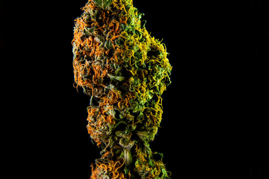 Weed - Trainwreck