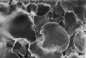 Alcohol ink, acrylic black and white abstract background