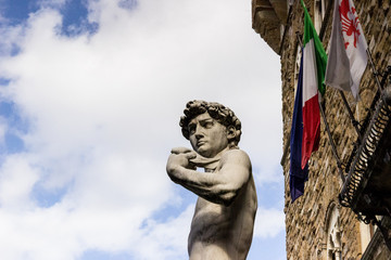 Fototapeta premium Copia David