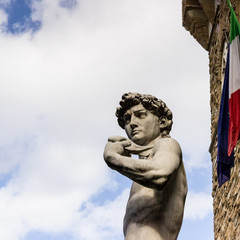 Fototapeta premium Copia David