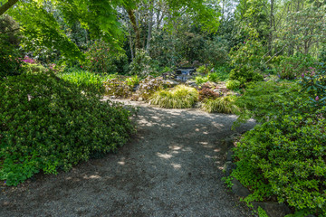 Fototapeta premium Garden Path Landscape