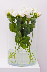 White eustoma flowers in glass on white background