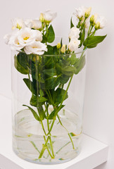 White eustoma flowers in glass on white background