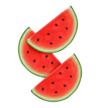 sliced fresh watermelon realistic illustration isolated on white background