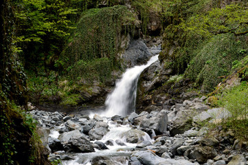 Waterfall in the forest. Mountain river.