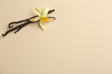 Flat lay composition with vanilla sticks and flower on color background. Space for text