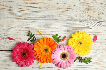 Flat lay composition with beautiful bright gerbera flowers on wooden background. Space for text