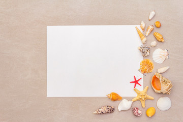 Seashells summer background