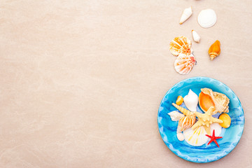 Seashells summer background