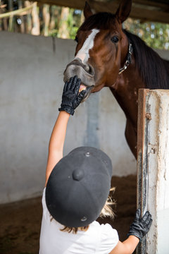 Little girl petting a horse