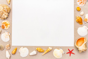 Seashells summer background