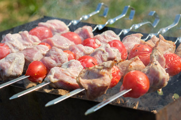 Grill skewer with meat and vegetables in nature