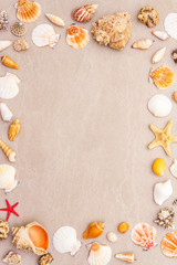 Seashells summer background