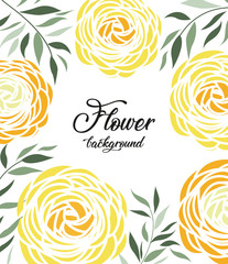 Vector illustration of ranunculus flower. Background with pink flowers