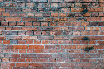 Naklejka premium Wall of dirty red brick texture wallpaper