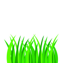 Green grass vector illustration isolated on white background