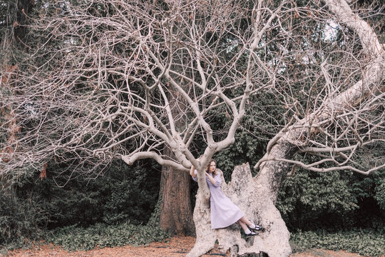 Girl in tree