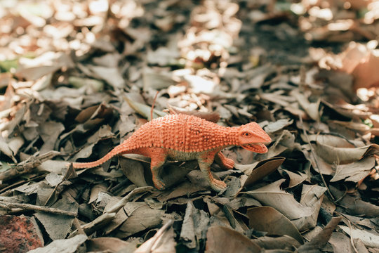 dinosaur