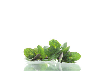 bunch of fresh green mint on white background