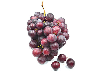 bouquet black grape fresh isolated white background