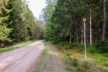 Pomarańczowy znak Green Velo w lesie z widokiem na drogę