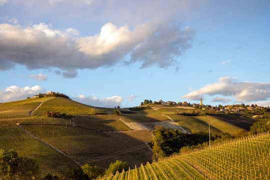 Panoramic view of hills and valleys with langhe vineyards and sunset in Serralunga d Alba Piedmont Northern Italy Europe.- Image
