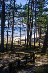 Beautiful view of the Gulf of Riga in the early spring. The sea is calm.