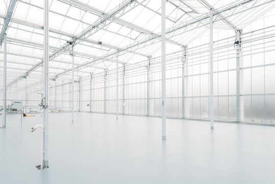 Empty greenhouse