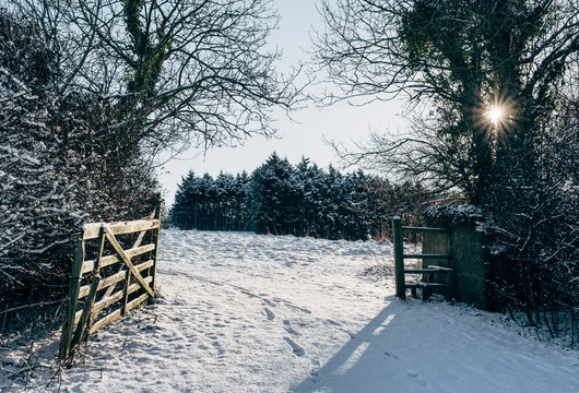 Open gate and snow covered field at sunrise. Shirwell, Devon, UK.