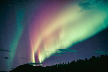 Aurora Storm Over British Columbia Road