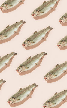 Raw fish/salmon
