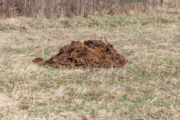 daylight. manure lies on the field. fertilizer without chemical additives. all natural.