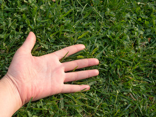 male hand on the grass