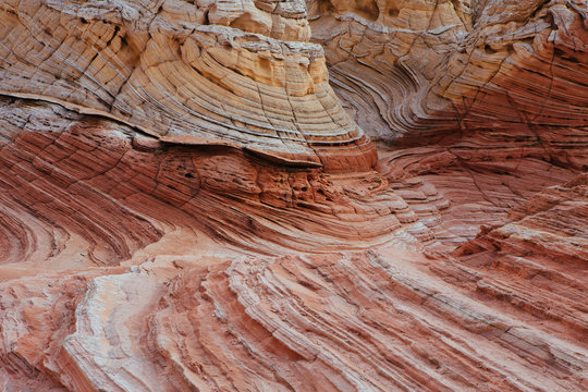 Detail of Navajo sandstone rock formation, White Pocket