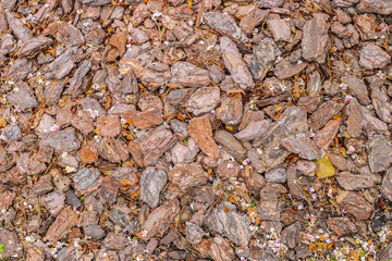 wood chips background