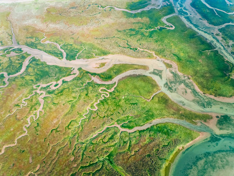 Aerial view of a marshes