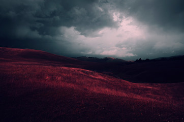 Surreal red meadow landscape